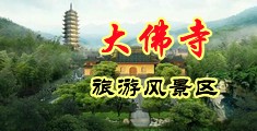 鸡巴捅女人的网站中国浙江-新昌大佛寺旅游风景区